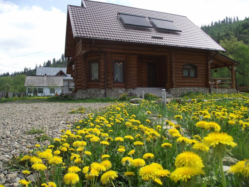 Cabana Piatra Runcului Ватра-Молдовіцей Екстер'єр фото