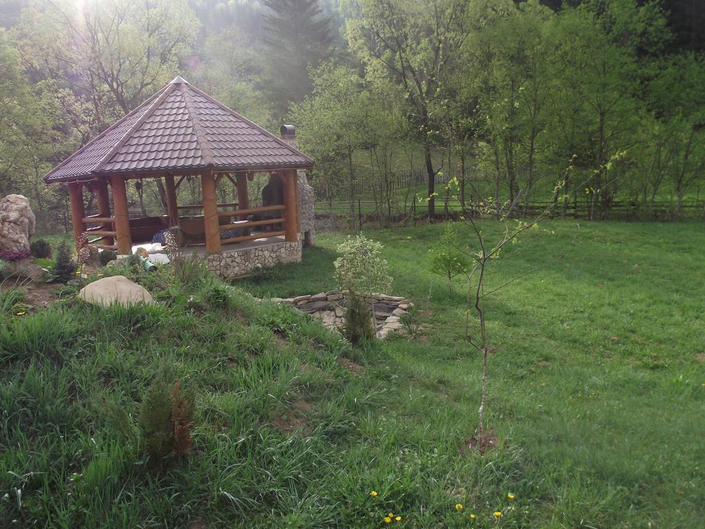 Cabana Piatra Runcului Ватра-Молдовіцей Екстер'єр фото