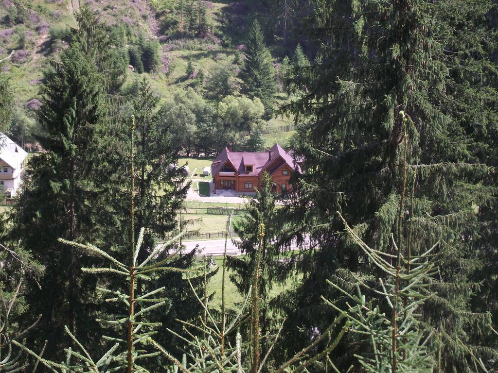 Cabana Piatra Runcului Ватра-Молдовіцей Екстер'єр фото